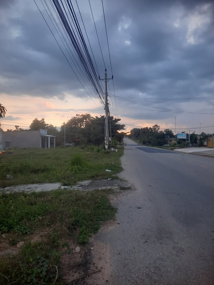 Đất Farm 8 sào Tân Đức, Hàm Tân 1 tỷ - Mặt tiền hai đường giao thông