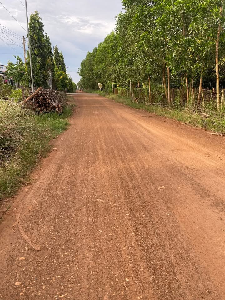 Đất nền Sơn Mỹ - La Gi 240m² giá chỉ 1 tỷ - Tiềm năng sinh lời cao!