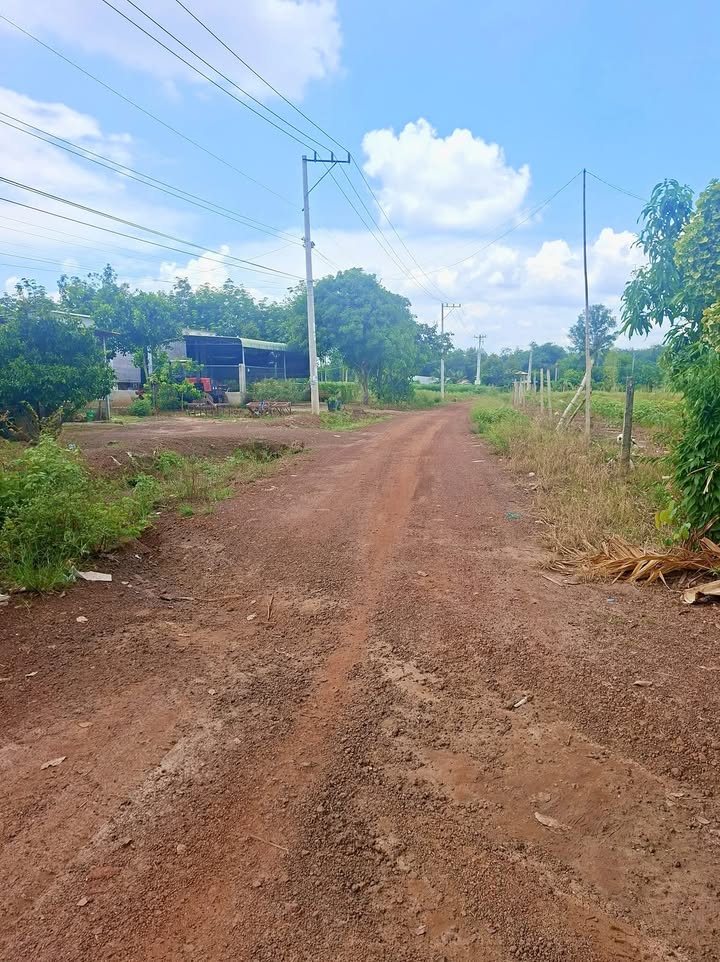 Đất thổ cư An Linh - Phú Giáo 450m² giá 820 triệu - Đầu tư sinh lời hấp dẫn!