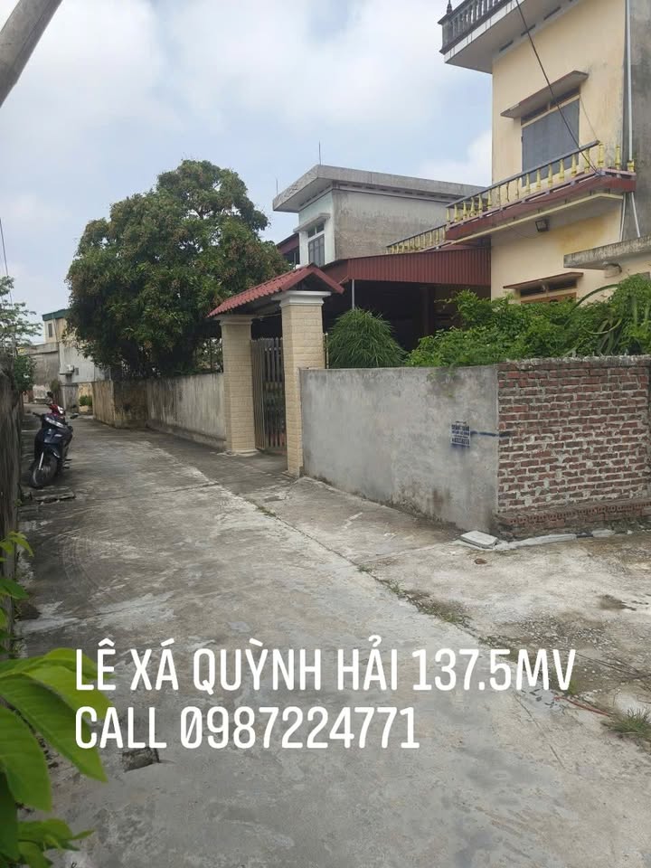 Đất nền Quỳnh Hải 137m² - Gần đường tỉnh 396B, đầu tư sinh lời!