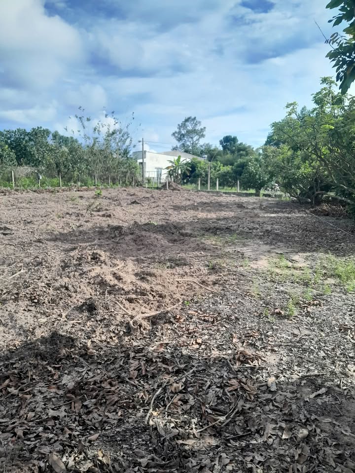 Đất nền Hẻm 9, đường Trường Đông, phường Long Hoa 275m² chỉ 530 triệu - Cơ hội đầu tư hấp dẫn!