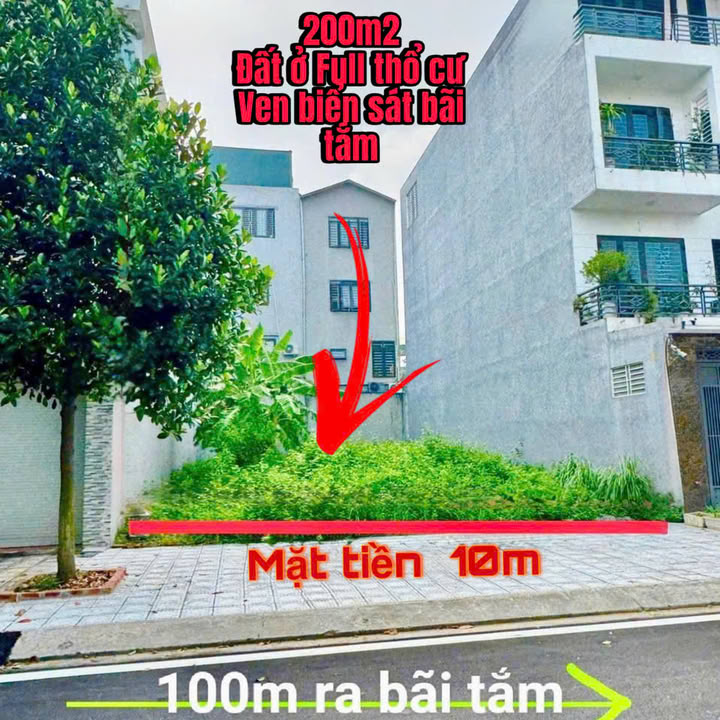 Đất biển Quất Lâm 200m² giá 1.24 tỷ - Cơ hội đầu tư không thể bỏ lỡ!
