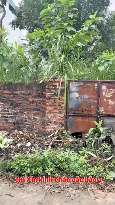 Đất nền Kim Anh - Sóc Sơn 400m² giá 11.2 tỷ - Kinh doanh sầm uất!