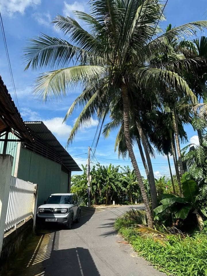 Đất vườn tặng nhà cấp 4 Diên An 312m² giá 3.48 tỷ - Đầu tư sinh lời lý tưởng!