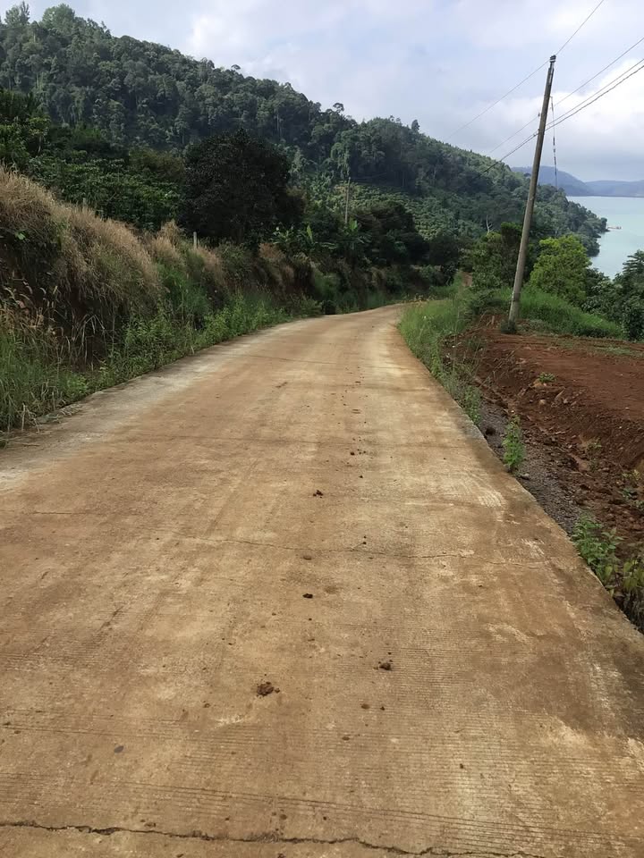 Đất nền liền kề hồ Đảo Ngọc, Bảo Lộc 4000m² giá 5.4 tỷ - Vị trí đẹp, đầu tư sinh lời!