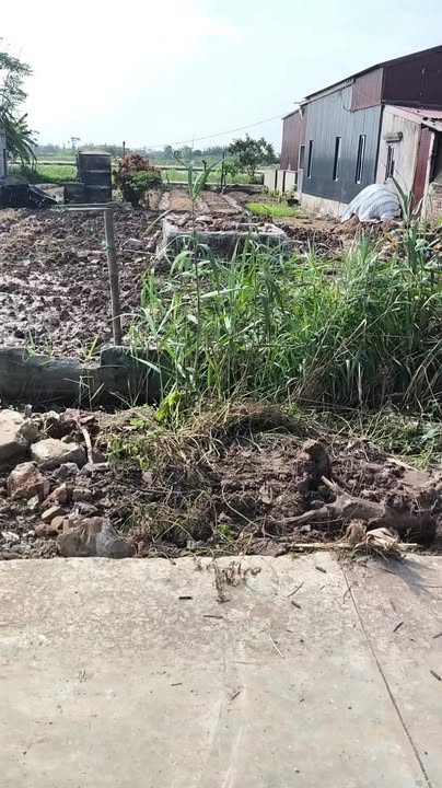 Đất thổ cư Xóm 7, Nam Điền, Nghĩa Hưng 198m² giá 125 triệu - Cơ hội đầu tư tuyệt vời!