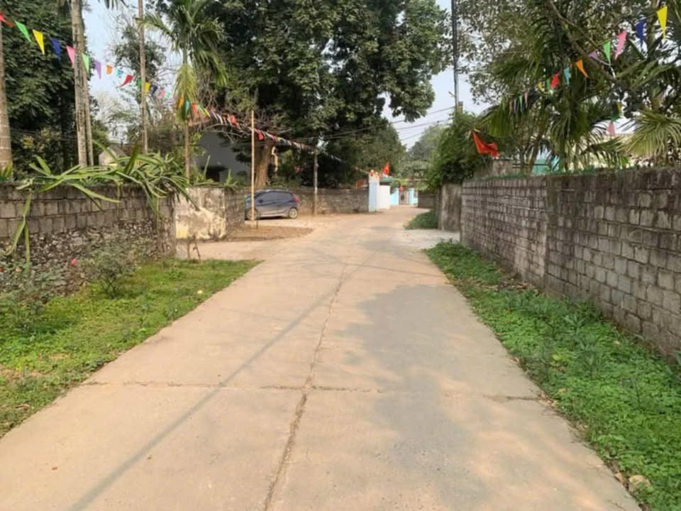 Đất nền Cao Dương Lương Sơn 100m² giá thỏa thuận - Đầu tư sinh lời tiềm năng!