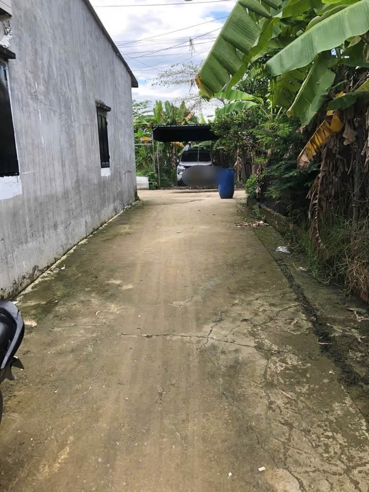 Đất nền Thái Hòa, Tân Uyên 58m² giá chỉ 400 triệu - Cơ hội đầu tư tuyệt vời!