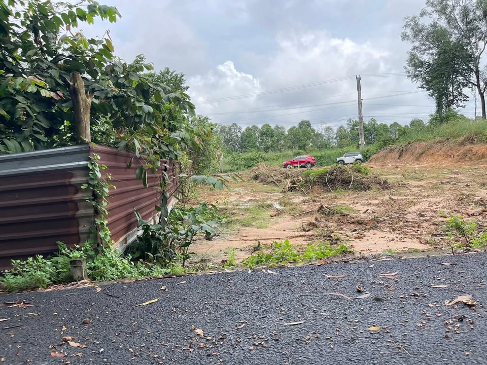 Đất nền Tân Định Bến Cát 84m² giá 800 triệu - Sổ đỏ chính chủ