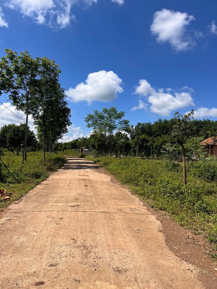 Đất nền Tân Hòa, Cư Kuin 268.8m² giá chỉ 600 triệu - Cơ hội đầu tư tuyệt vời!