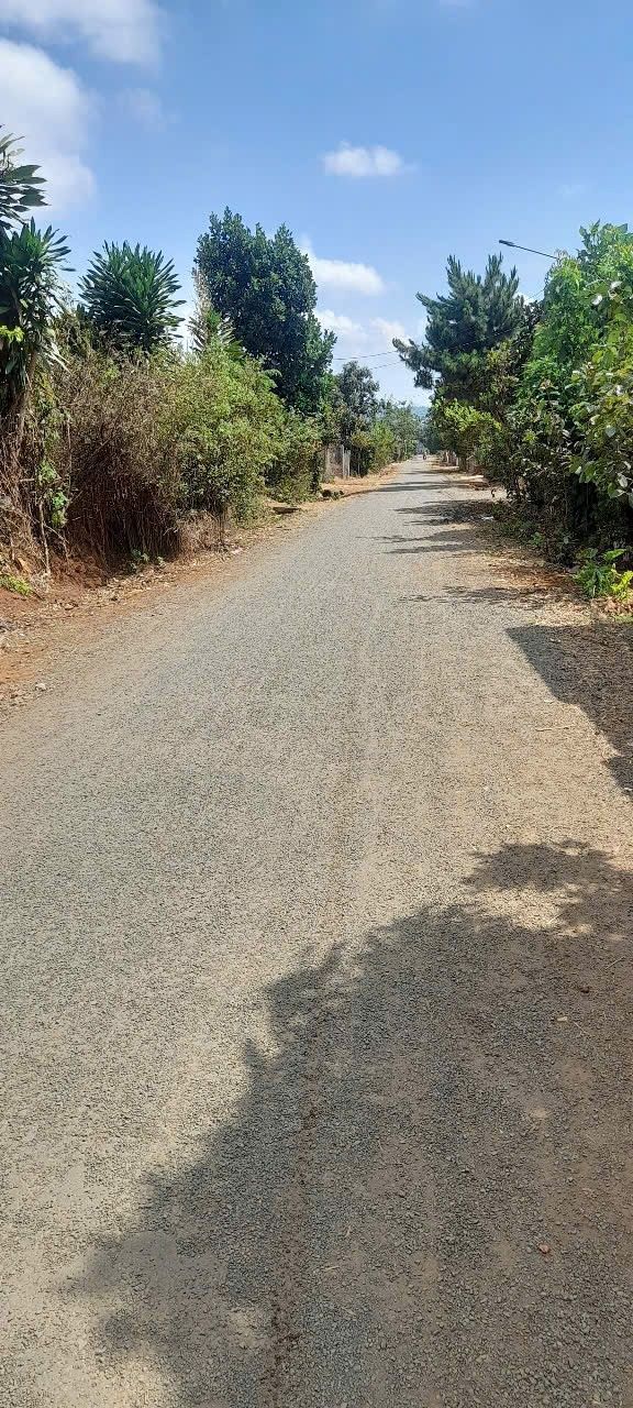 Đất nền An Phú, Pleiku 232m² giá 200 triệu - Cơ hội đầu tư tiềm năng!