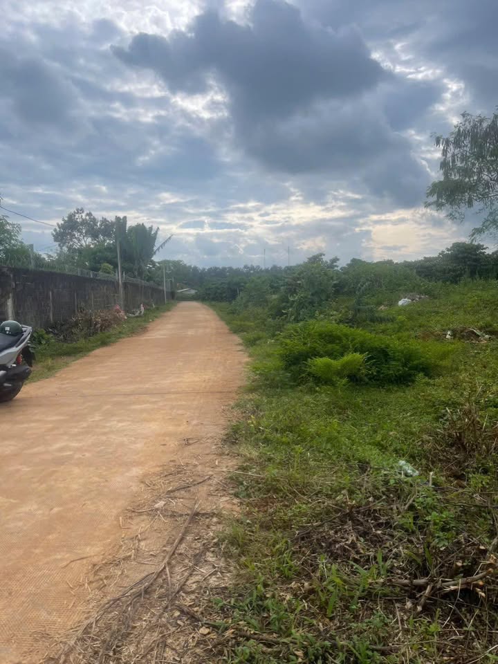 Đất nền An Phú Pleiku 250m² giá chỉ 4xx triệu - Đầu tư sinh lời ngay!