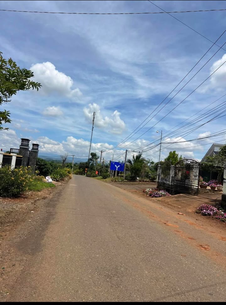 Đất nền Tân Hội, Đức Trọng 577m² giá 1.4 tỷ - Sổ đỏ chính chủ, mặt tiền đường nhựa