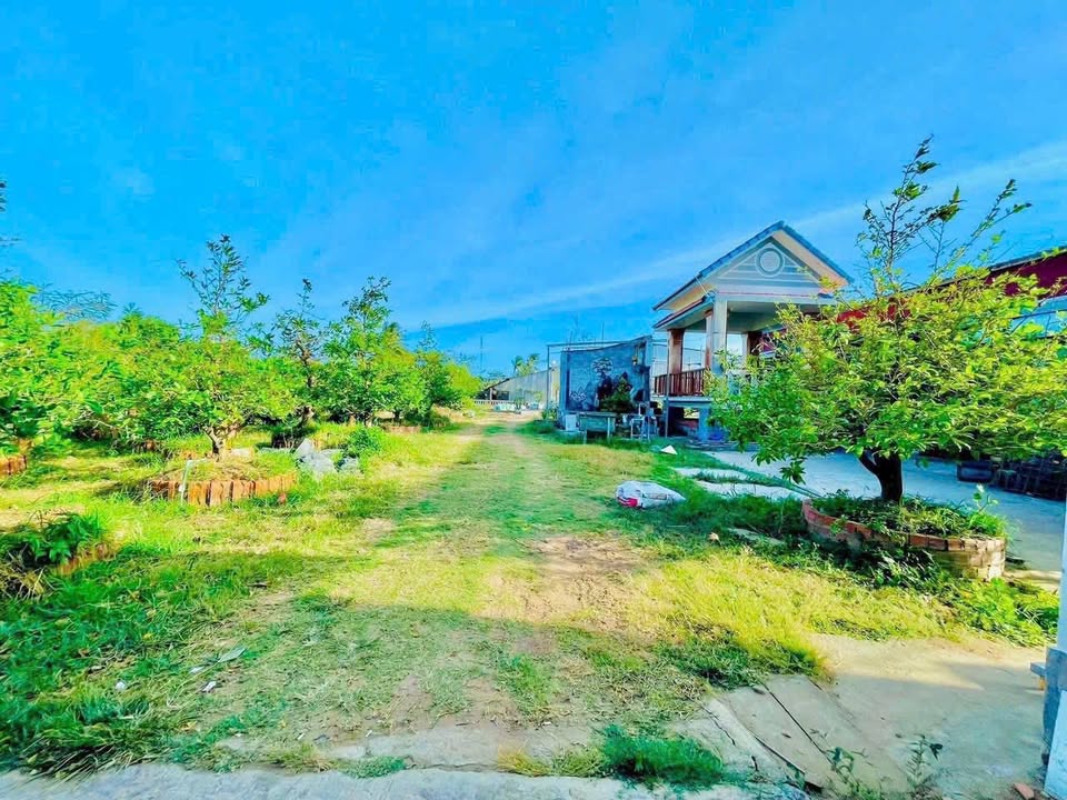 Bán FrontHouse mặt tiền QL53 Duyên Hải 2400m² giá 16 tỷ - Đầu tư sinh lời ngay!