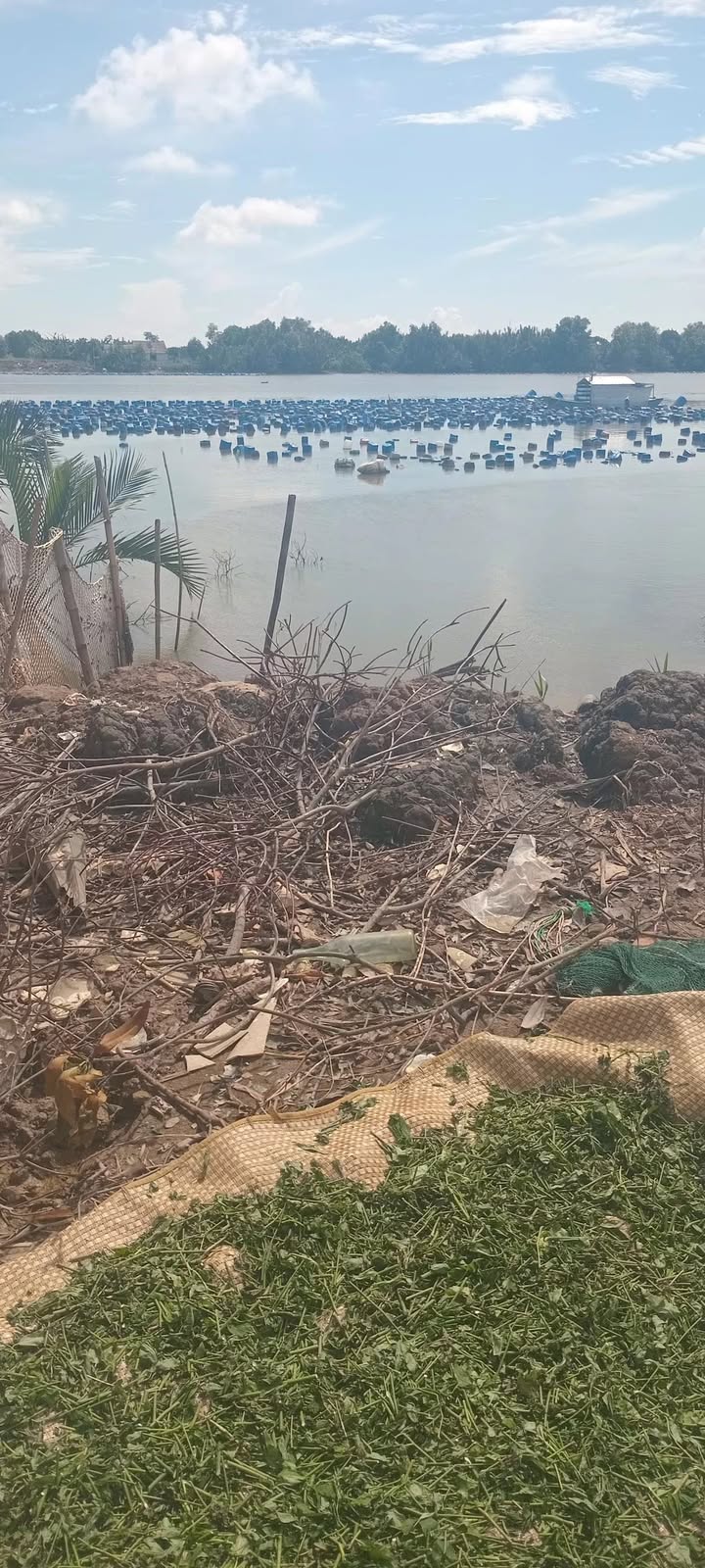 Đất nền Trường Long Hòa, Duyên Hải, 23600m² - Sổ hồng chính chủ, giá tốt!