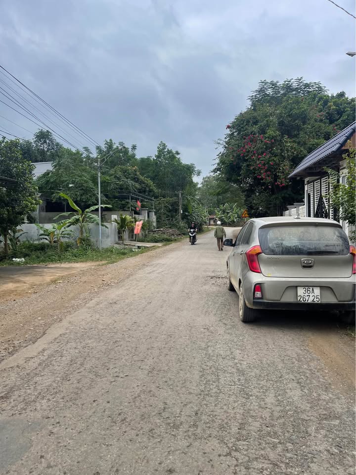 Đất thổ cư xã Lam Sơn, huyện Ngọc Lặc 252m² giá 980 triệu - Vị trí đắc địa gần chợ và trường học!