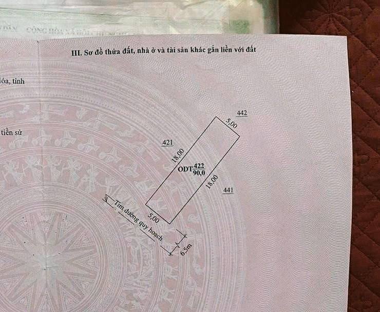 Đất nền đẹp phường Hàm Rồng, Thanh Hóa 90m² giá 3 tỷ - Sổ đỏ sẵn sàng giao dịch!