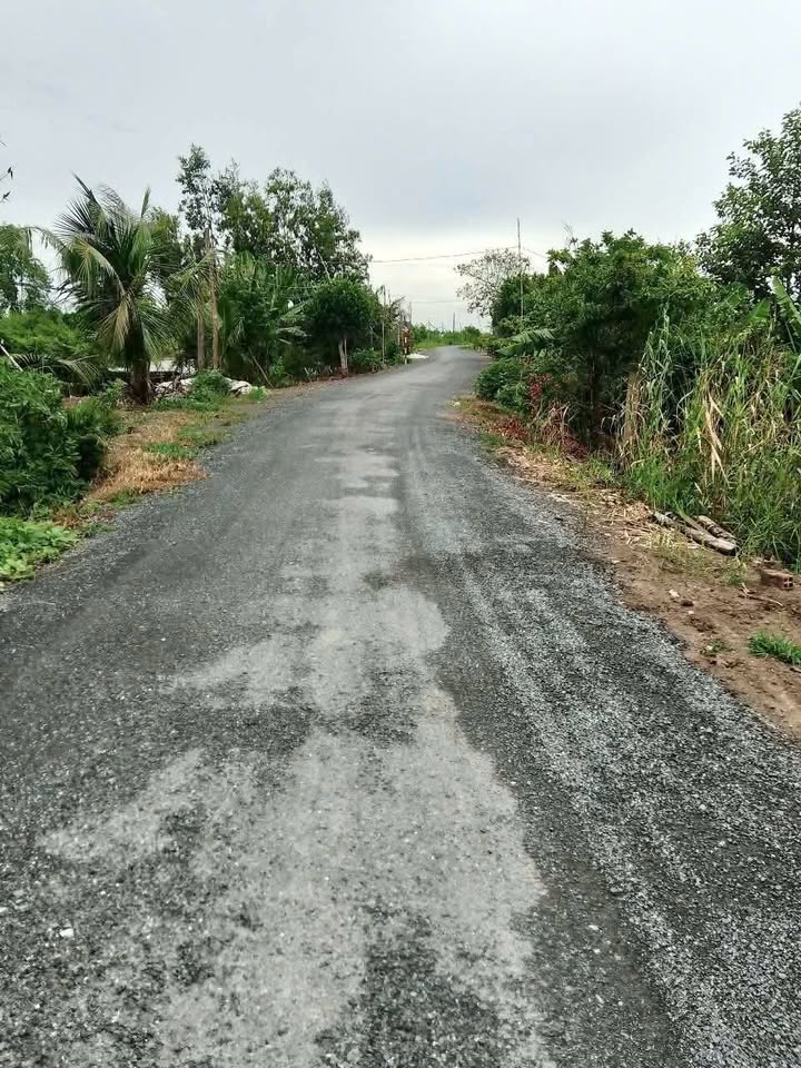 Đất nông nghiệp 40,000m² xã Thạnh Phước, Thạnh Hóa - Cơ hội đầu tư sinh lời