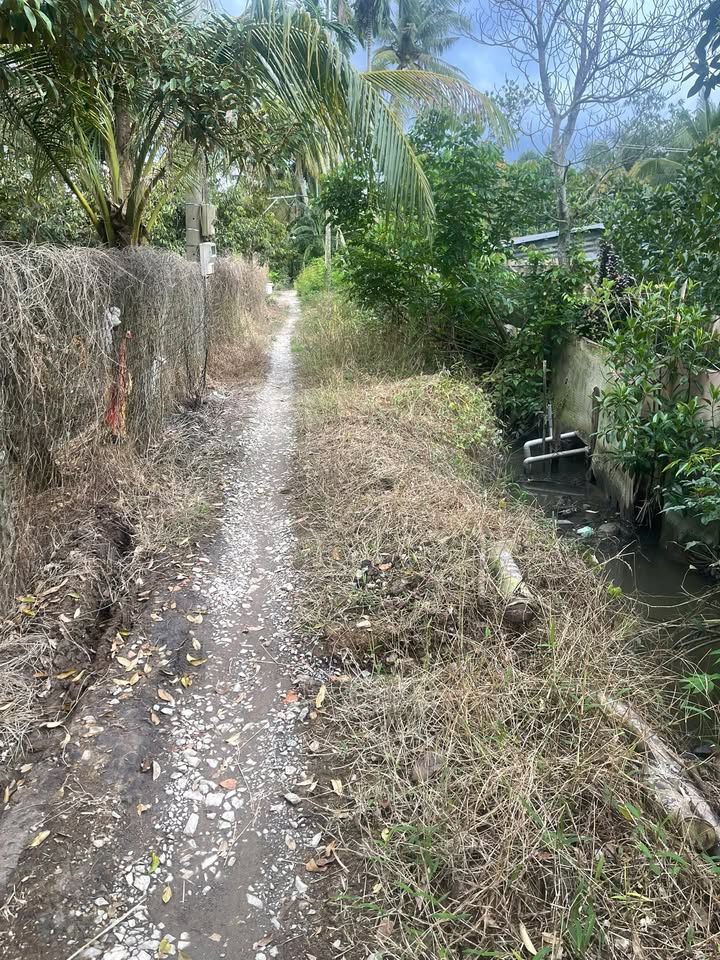 Đất nền 1736m² xã Đông Hòa Hiệp, Cái Bè - Giá 2 tỷ, sẵn sàng đầu tư!