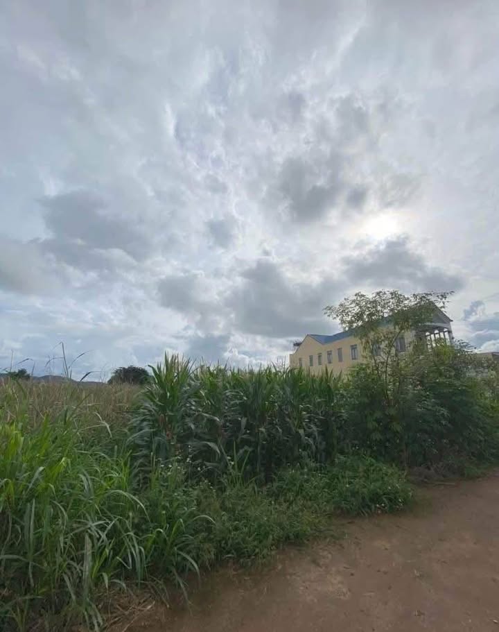 Đất 2 mặt tiền đẹp tại Liên Nghĩa, 384m² giá 2.6 tỷ - Cơ hội vàng đầu tư!