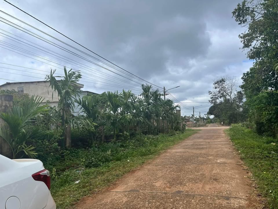 Đất nền trung tâm xã Krông Năng 550m² giá 1.7 tỷ - Đầu tư sinh lời ngay!