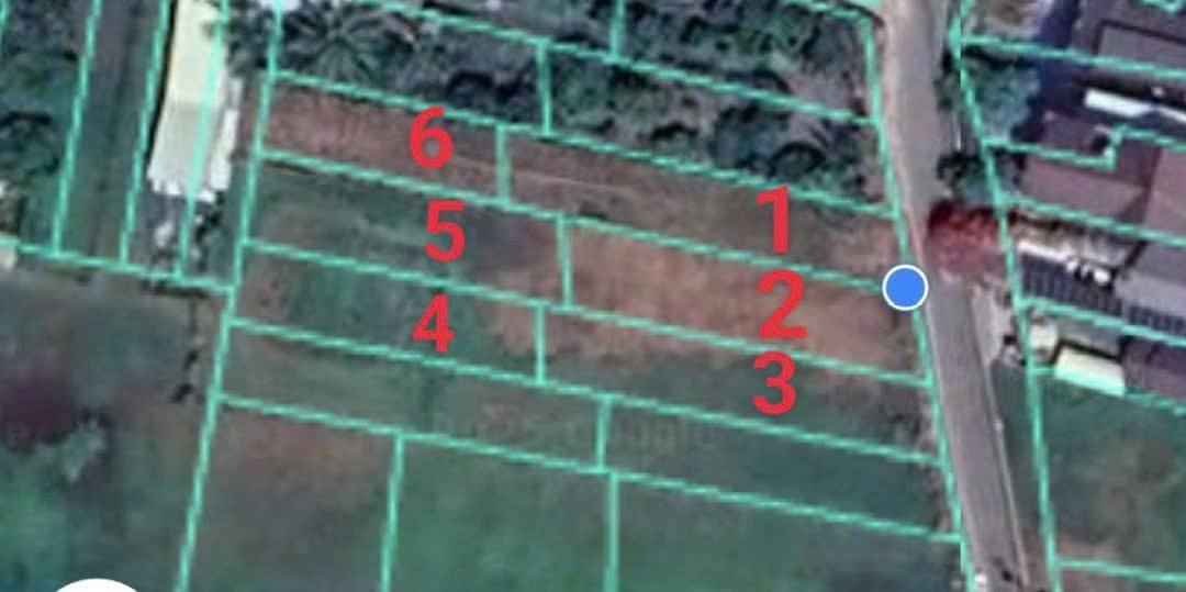 Đất thổ cư mặt tiền Nguyễn Văn Chánh Khánh Hậu 500m² giá 10 tỷ - Cơ hội đầu tư tốt!