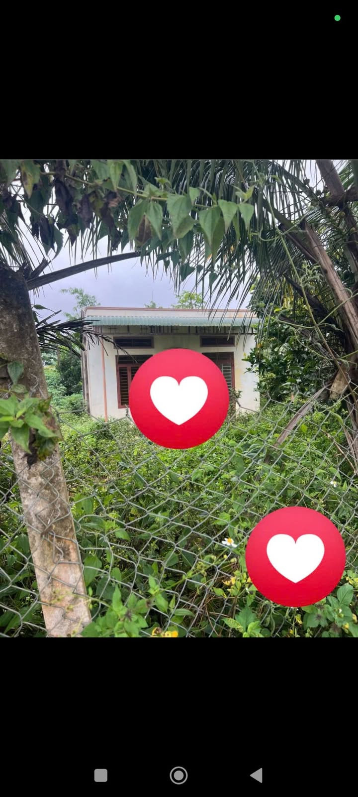 Nhà phố Thống Nhất, Buôn Hồ 348m² giá 1.2 tỷ - Cần bán gấp!