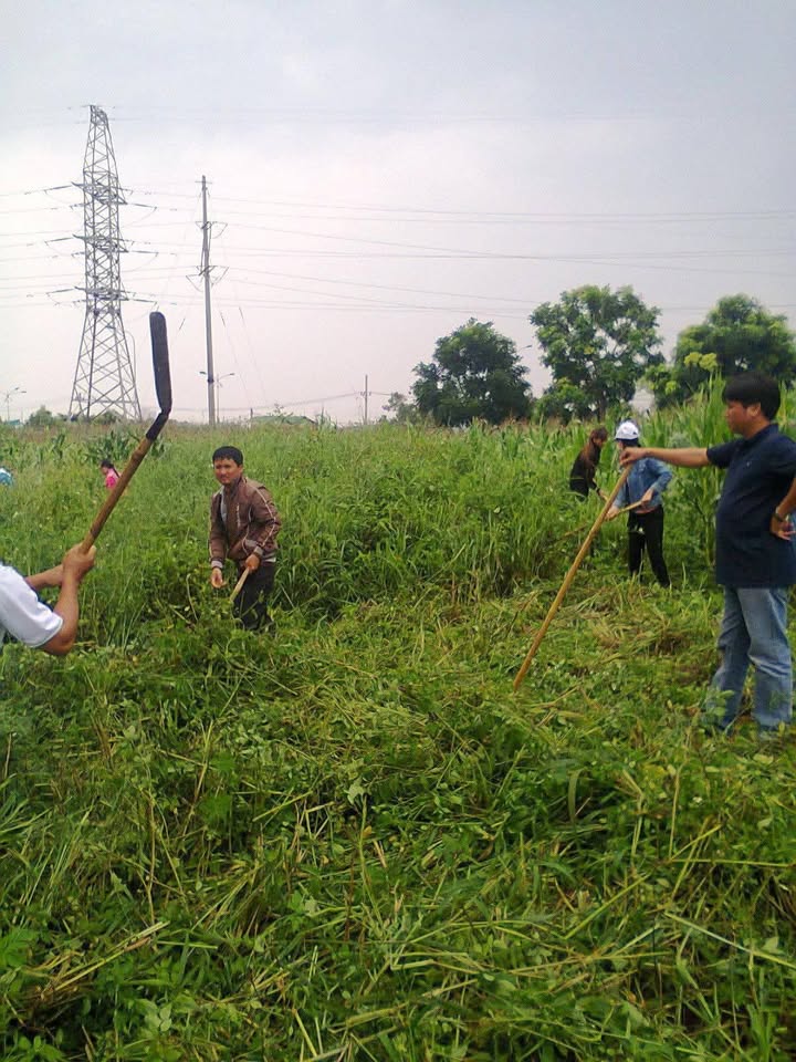 Đất thổ cư 1080m² tại phường Thống Nhất, Buôn Hồ - Giá tốt, vị trí thuận lợi!