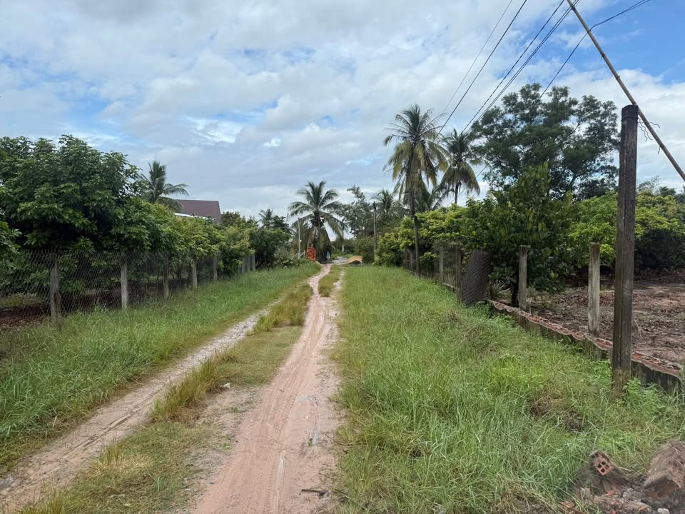 Đất thổ cư 538m² tại Trường Đông, Long Hoa, Tây Ninh - Giá chỉ 530 triệu!