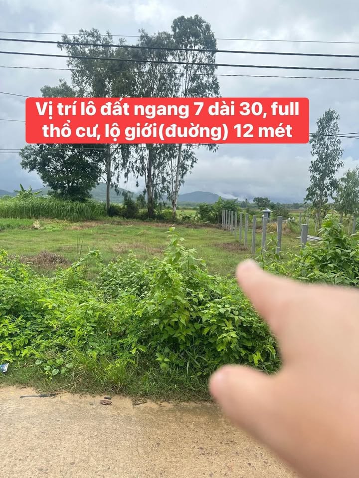 Đất thổ cư Phù Mỹ, Bình Định 210m² giá 400 triệu - Đầu tư sinh lời ngay!