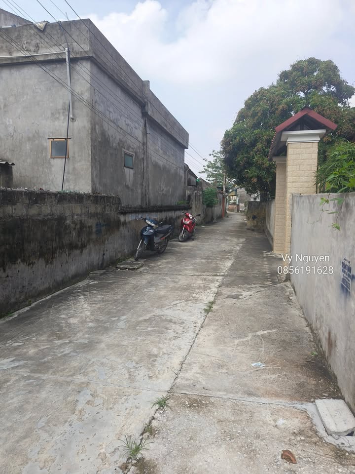 Đất đẹp tại Lê Xá, Quỳnh Hải, 137m² - Phù hợp xây nhà hoặc đầu tư!