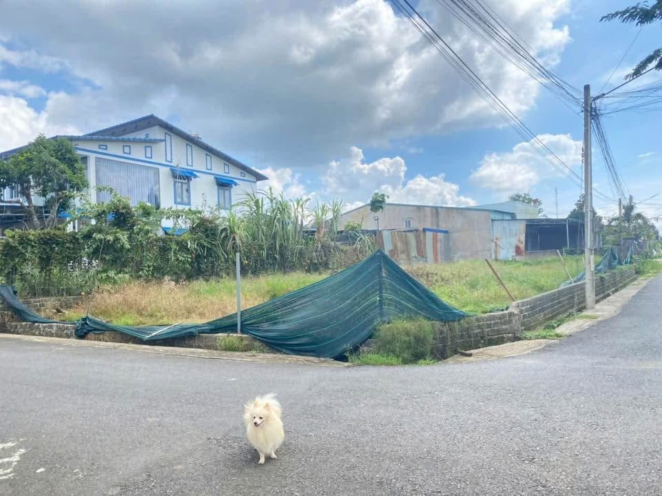 Đất nền Bảo Lộc 384m² giá 3 tỷ - Lô góc 2 mặt tiền, sổ đỏ chính chủ!