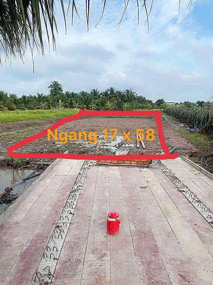 Đất nền An Vĩnh Ngãi, Cần Giuộc 986m² giá 1.05 tỷ - Đường ô tô vào tận nơi!