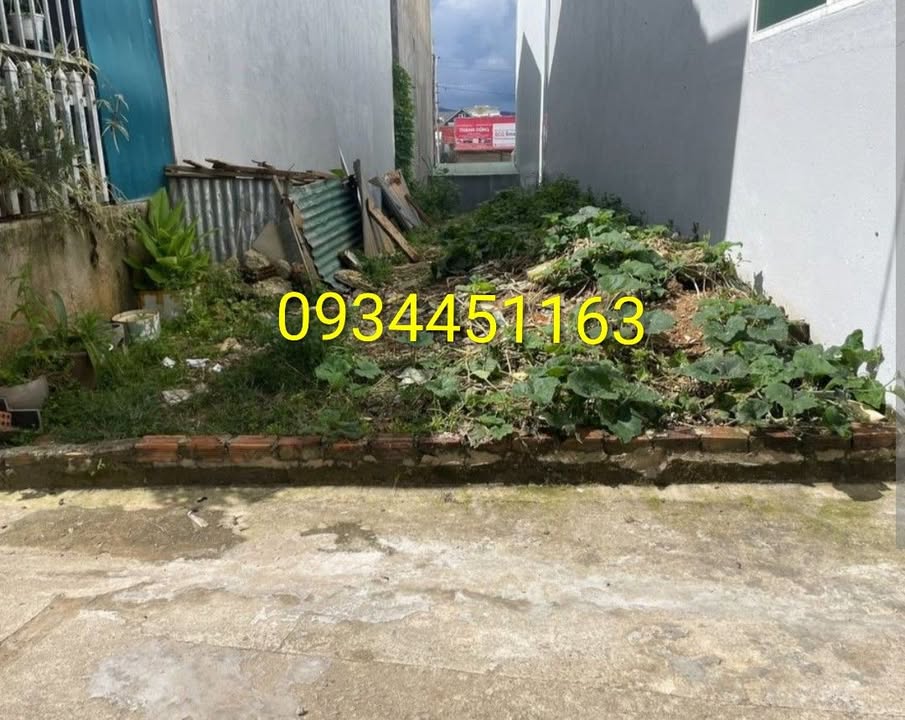 Đất nền Dương Hà Gia Lâm 62m² giá thỏa thuận - Sổ đỏ đẹp, giao dịch ngay!