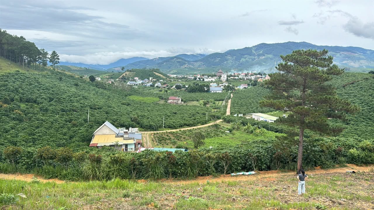 Đất nền Phi Tô - Lâm Hà 2600m² giá 1.5 tỷ - Đầu tư thông minh ngay trung tâm!