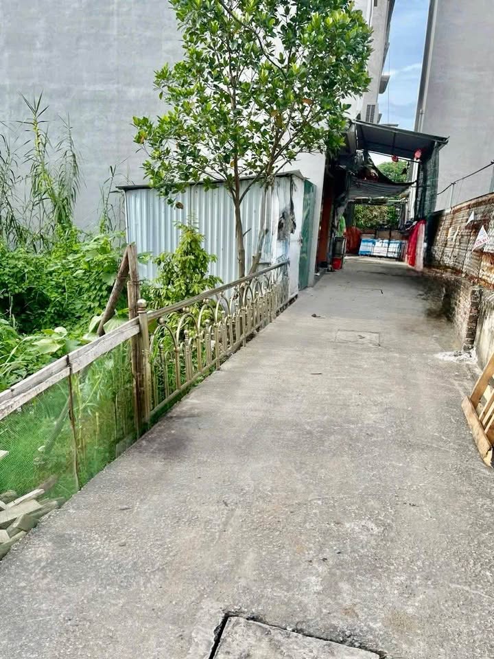 Đất thổ cư Sơn Đồng, Hoài Đức 50m² giá 3 tỷ - Đầu tư sinh lời ngay!