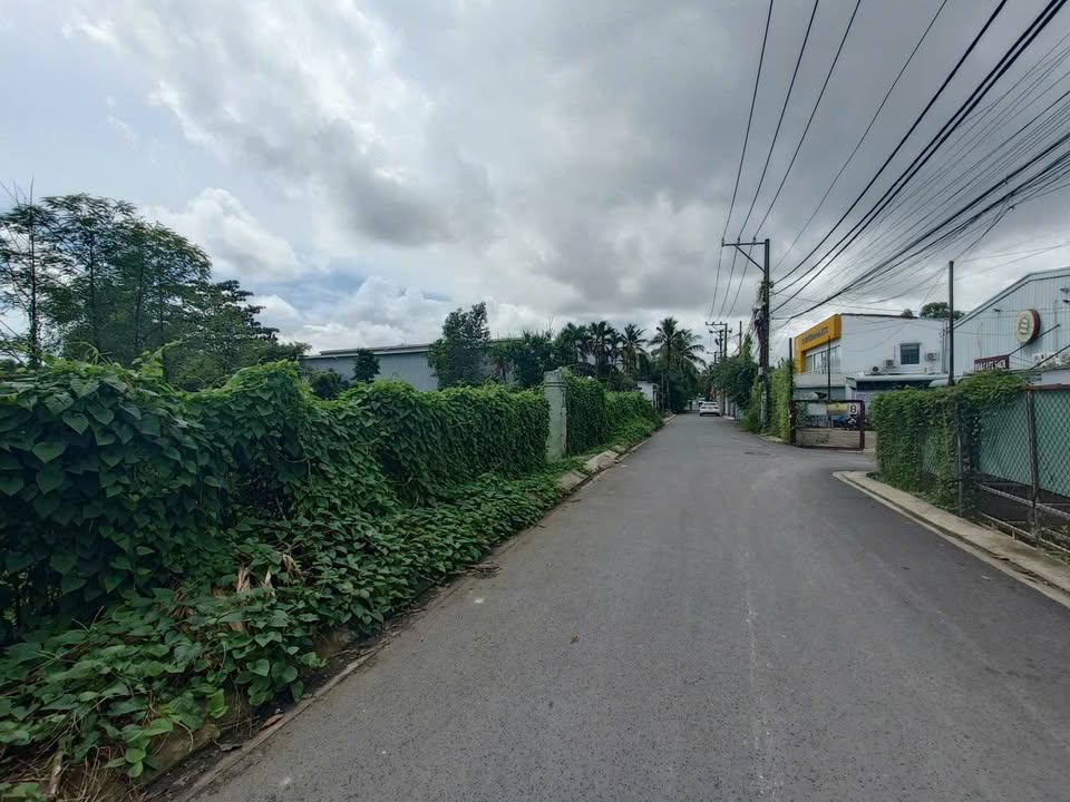 Đất nền Lã Xuân Oai, Long Trường, Quận 9, 2608m², giá 39 tỷ - Cơ hội đầu tư hiếm có!