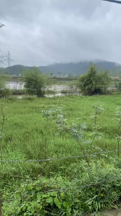 Đất nền Kim Liên, Nam Đàn 96m² giá 1.5 tỷ - Cách Quốc lộ 46B chỉ 200m!