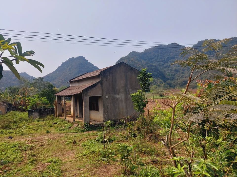 Đất du lịch 4.500m² tại Tây Hoa Lư, Ninh Bình - Giá chỉ 7.58 tỷ!