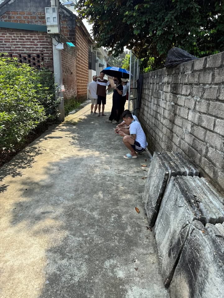 Đất nền chính chủ Trạch Mỹ Lộc, Phúc Thọ 133m² giá 1 tỷ - Cơ hội đầu tư tuyệt vời!