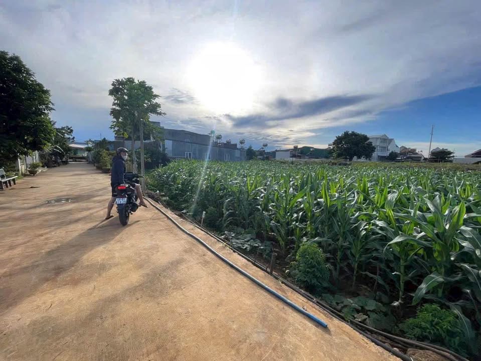 Đất mặt tiền Lê Thị Hồng Gấm Đức Trọng 376m² giá 5.2 tỷ - Cơ hội đầu tư tuyệt vời!