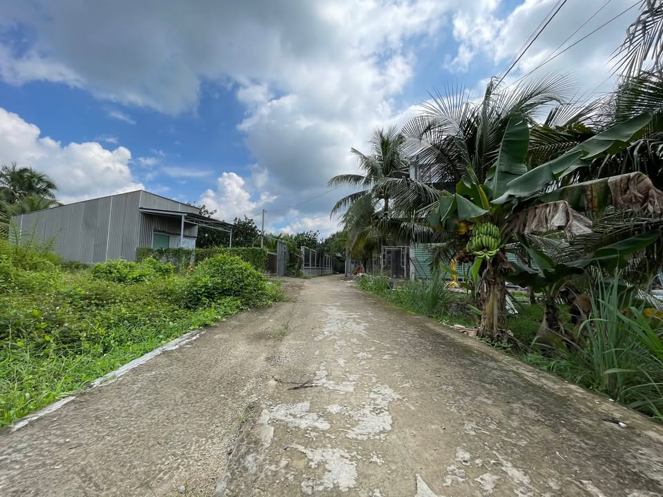 Đất nền Long An, Châu Thành 139m² giá 430 triệu - Sổ riêng, gần chợ tiện ích!