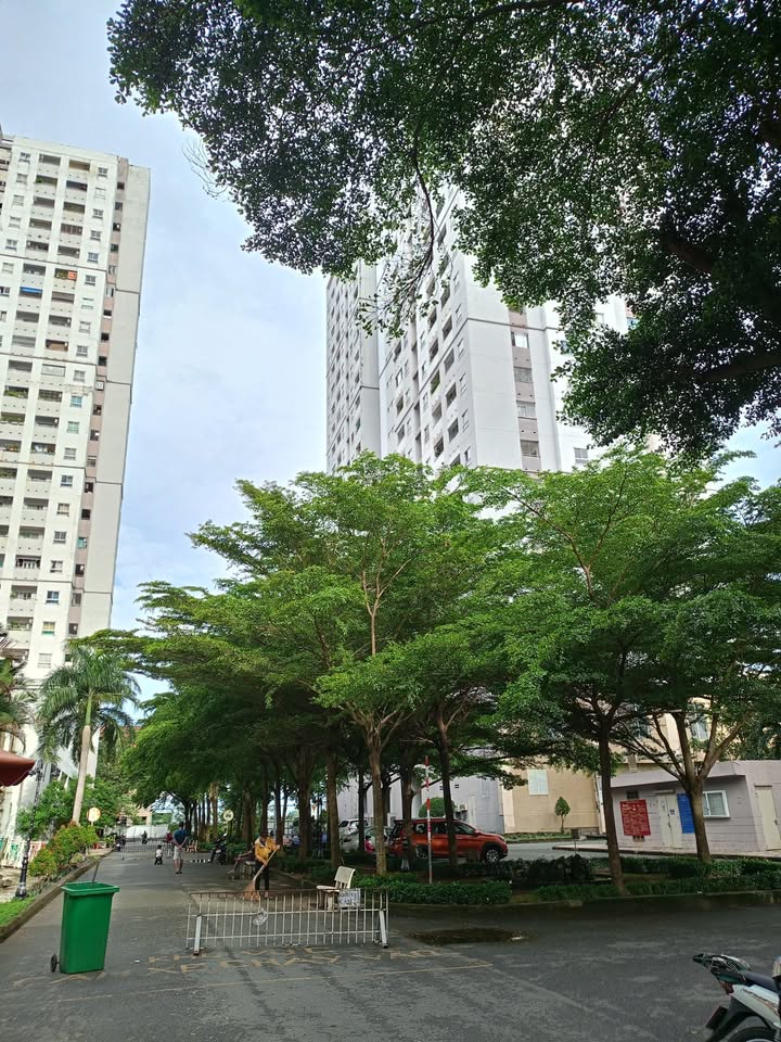 Căn hộ HQC Plaza Nguyễn Văn Linh 55m² giá 3.5 triệu - Gần chợ đầu mối Bình Điền!