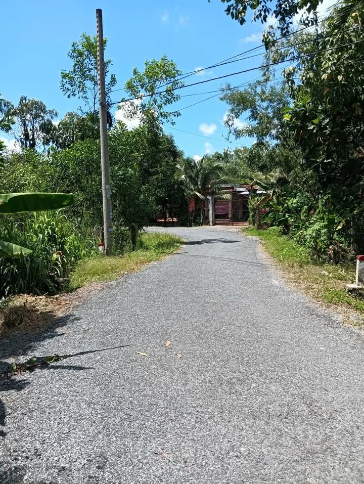 Đất nền Cẩm An, Tây Ninh 584m² giá 1.35 tỷ - Bán gấp chính chủ!