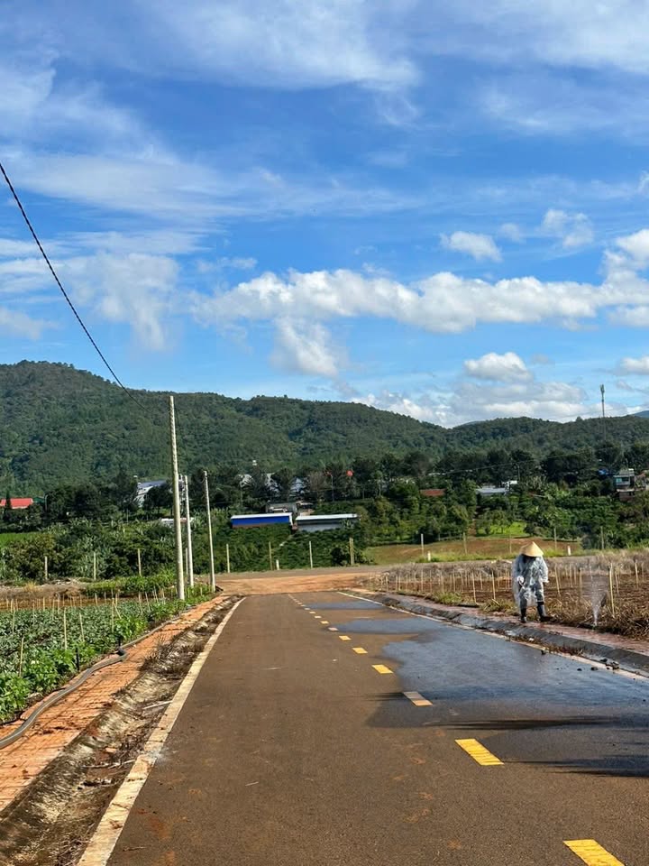 Đất nền Hiệp Thạnh, Đức Trọng 131m² giá 790 triệu - Cơ hội đầu tư tuyệt vời!