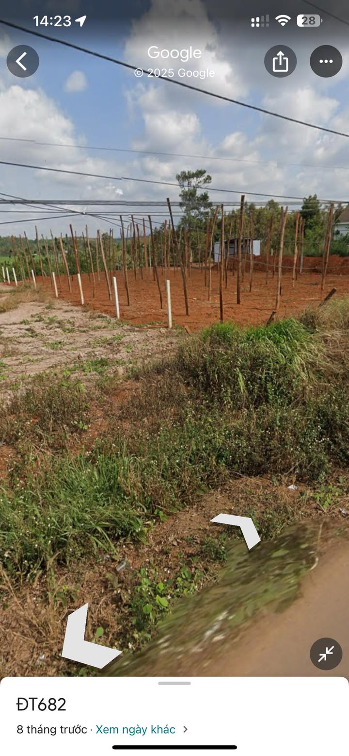 Đất nền Đăk Mol, Đắk Song 600m² giá 1.5 tỷ - Khu dân cư đông đúc, tiện ích đầy đủ!