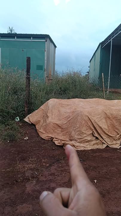 Đất nền Quốc lộ 14C Đăk Song 800m² giá 450 triệu - Cơ hội đầu tư hấp dẫn!