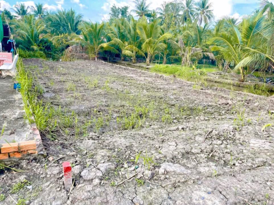 Bán đất nền Cái Ngang Vĩnh Long 135m² giá 220 triệu - Sổ hồng công chứng ngay!