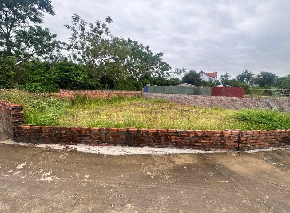 Đất nền Gò Gạo Minh Trí 100m² giá 700 triệu - Lô góc 3 mặt tiền ô tô tránh!