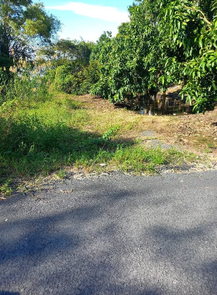 Đất nền Tân Nghĩa, Cao Lãnh 336m² giá 550 triệu - Cách cầu Ông Kho chỉ 400m!